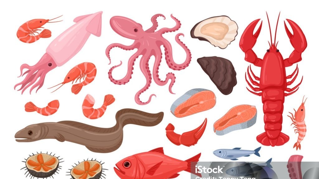 Main Banner Image 1